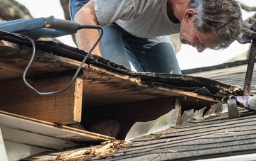 common causes of Whelp Street fascia damage