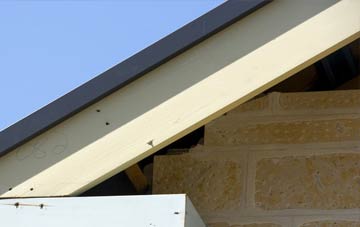 Whelp Street fascia repairs