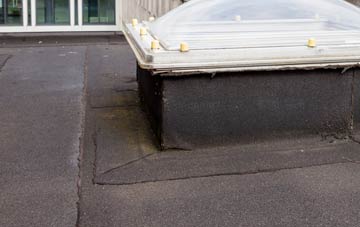 disadvantages of Whelp Street flat roofs