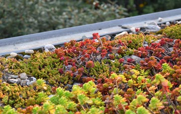 the cost of Whelp Street green roof installation