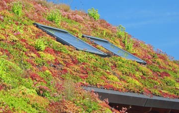 Whelp Street living roof systems