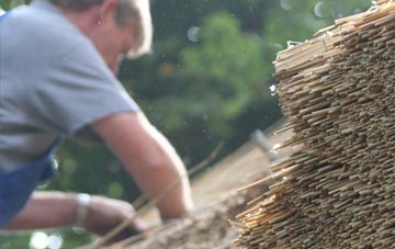 professional Whelp Street thatchers