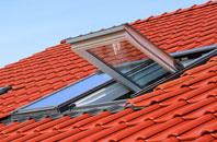 Whelp Street roof window